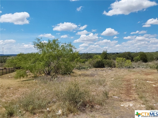 Listing photo 3 for LOT201 Sundance View Pt, Spicewood TX 78669