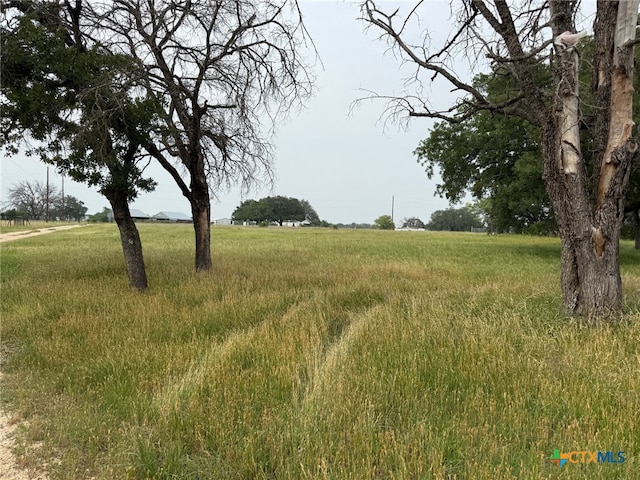 Unassigned Fm 2412, Gatesville, TX 76528 - photo 4
