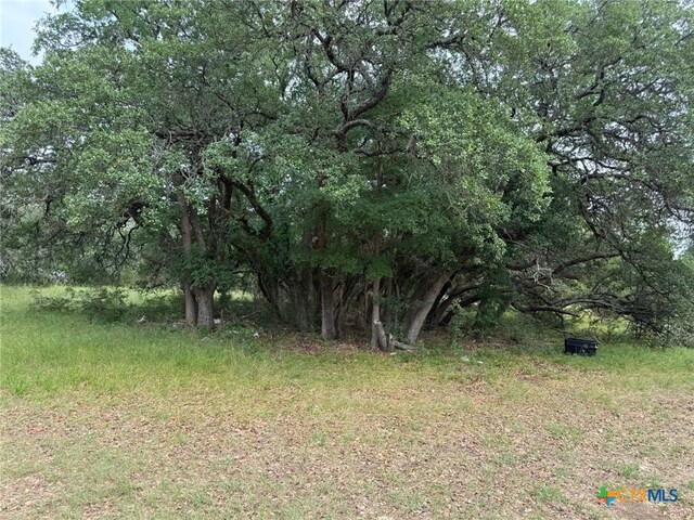Unassigned Fm 2412, Gatesville, TX 76528 - photo 6