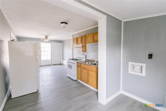 kitchen with sink, tasteful backsplash, ceiling fan, light wood-type flooring, and white appliances