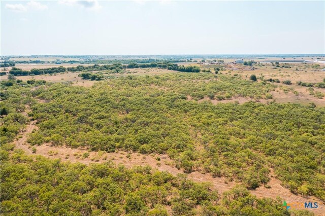 304WEST Circle Way, Jarrell, TX 76537 - photo 20