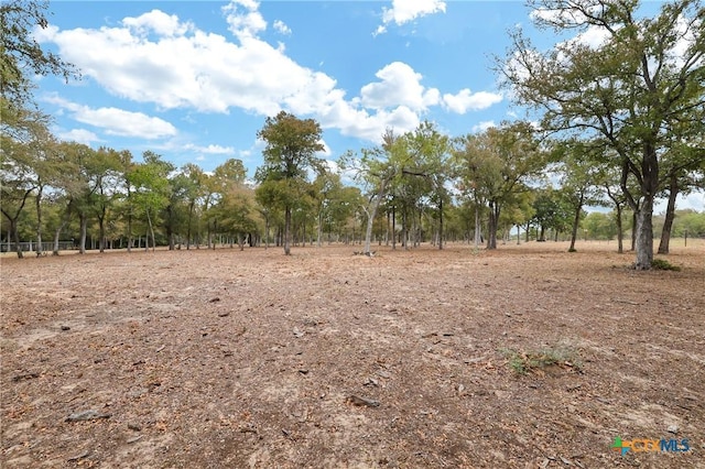 view of local wilderness with a rural view