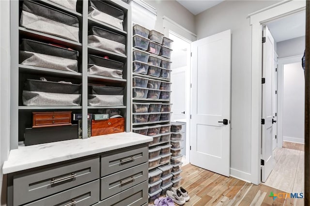 walk in closet with light wood-type flooring