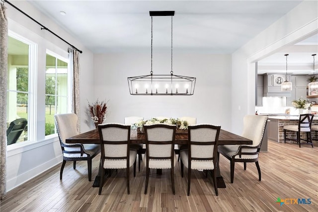 dining room with an inviting chandelier and hardwood / wood-style floors