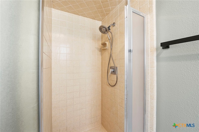 2711 Oak Leigh St, San Antonio, TX 78232 - bathroom view of a stall shower and a textured wall