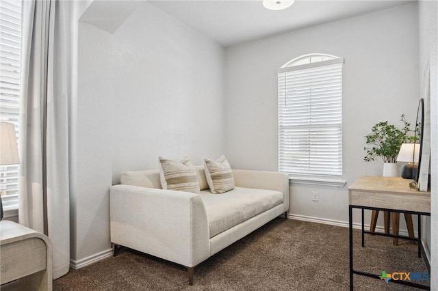 2516 Arno St, Harker Heights, TX 76548 - living area with dark colored carpet