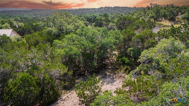 1865 Stallion Springs Dr, Fischer, TX 78623