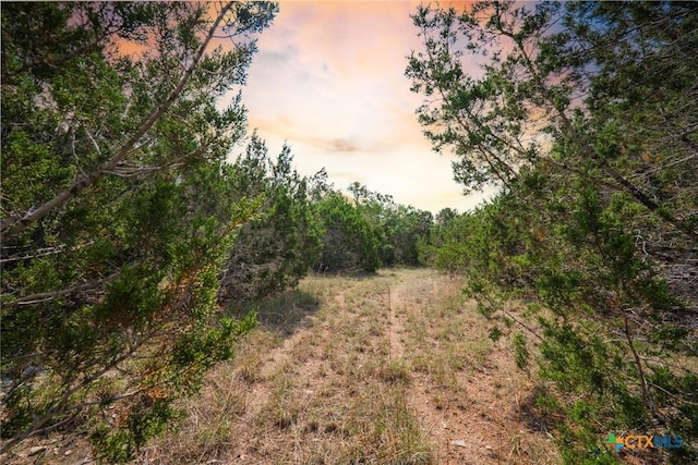1865 Stallion Springs Dr, Fischer, TX 78623
