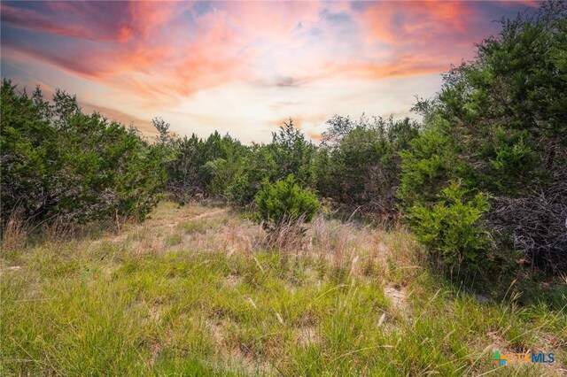 1865 Stallion Springs Dr, Fischer, TX 78623
