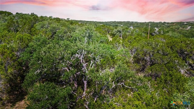 1865 Stallion Springs Dr, Fischer, TX 78623