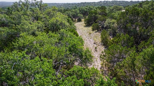 1865 Stallion Springs Dr, Fischer, TX 78623