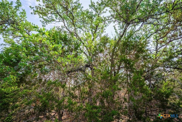 1865 Stallion Springs Dr, Fischer, TX 78623