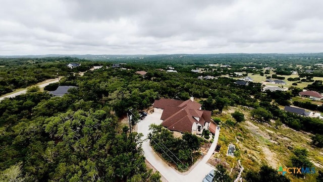 213 Lets Roll Dr, Fischer, TX 78623 - aerial view of a forest