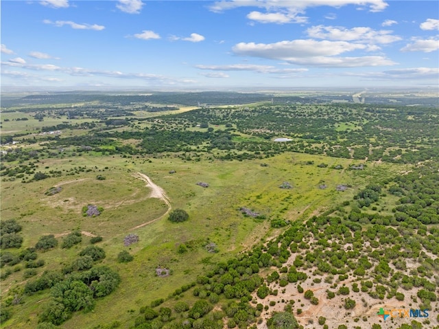 13683 County Road 2200, Lometa, TX 76853 - photo 15
