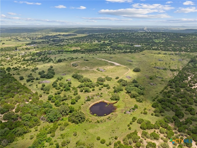 13683 County Road 2200, Lometa, TX 76853 - photo 11