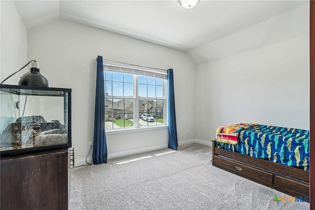 2240 Zachry Dr, New Braunfels, TX 78132 - photo 30