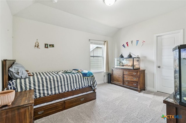 2240 Zachry Dr, New Braunfels, TX 78132 - photo 28