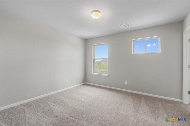 416 Stellar Wind Dr, Georgetown, TX 78628 - view of carpeted empty room