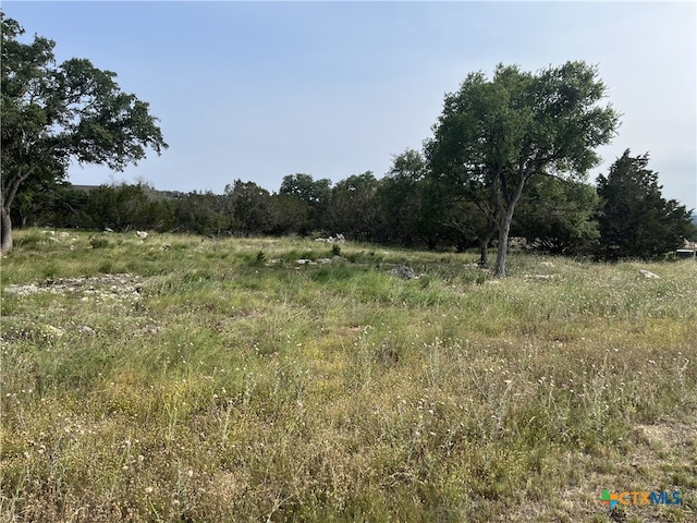 133 Macaw Ln, Spring Branch, TX 78070 - photo 7