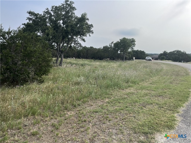 133 Macaw Ln, Spring Branch, TX 78070 - photo 5
