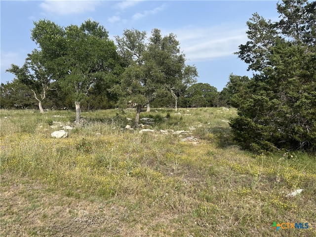 133 Macaw Ln, Spring Branch, TX 78070 - photo 8