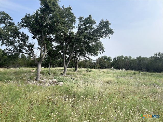 133 Macaw Ln, Spring Branch, TX 78070 - photo 4