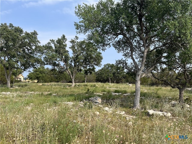 133 Macaw Ln, Spring Branch, TX 78070 - photo 1