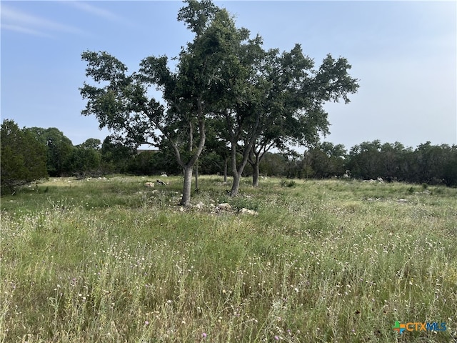 133 Macaw Ln, Spring Branch, TX 78070 - photo 6