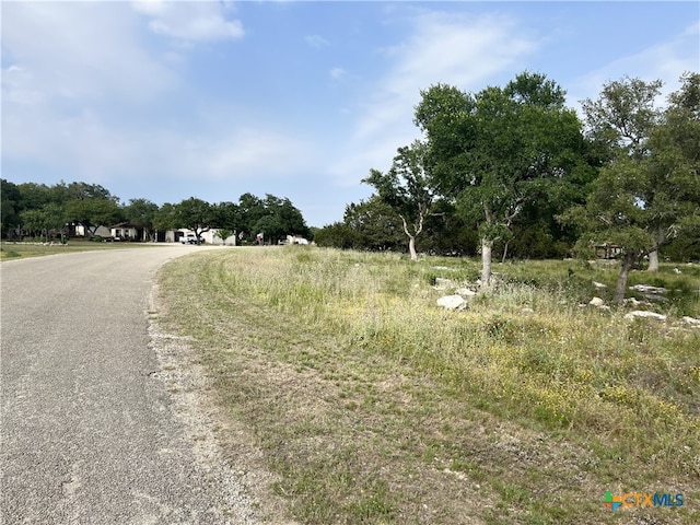 Listing photo 3 for 133 Macaw Ln, Spring Branch TX 78070