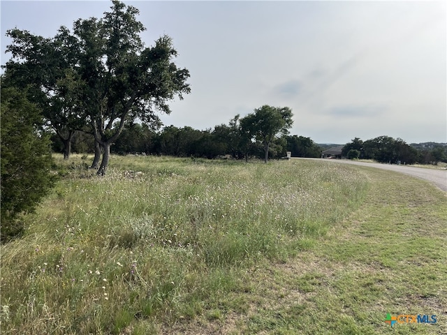 Listing photo 2 for 133 Macaw Ln, Spring Branch TX 78070