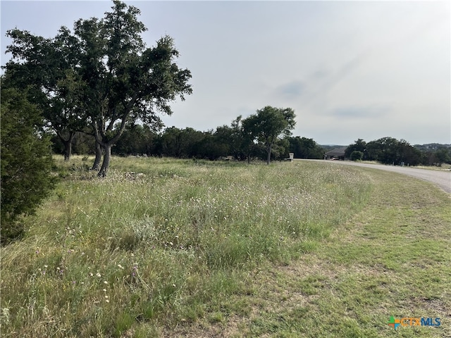 133 Macaw Ln, Spring Branch, TX 78070 - photo 2