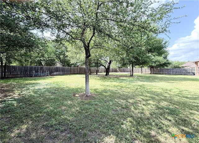 3004 Amber Forest Trl, Belton, TX 76513 - photo 32