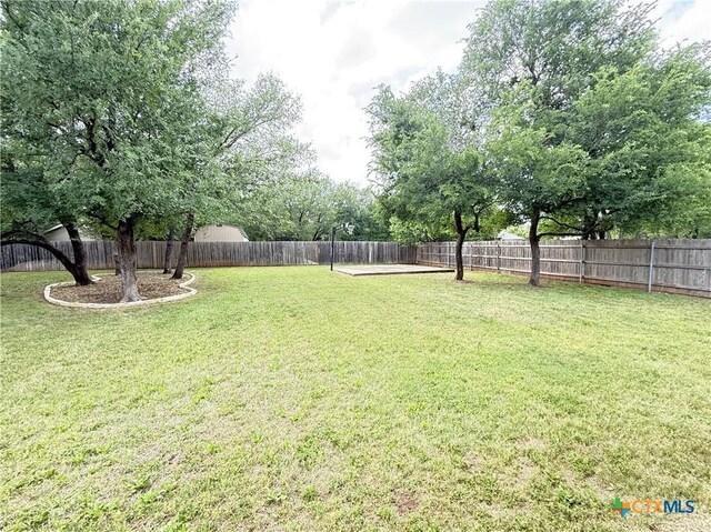 3004 Amber Forest Trl, Belton, TX 76513 - photo 34