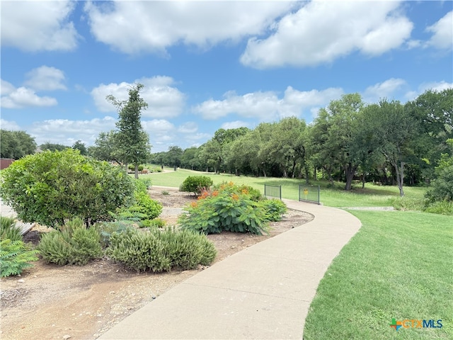 3004 Amber Forest Trl, Belton, TX 76513 - photo 43