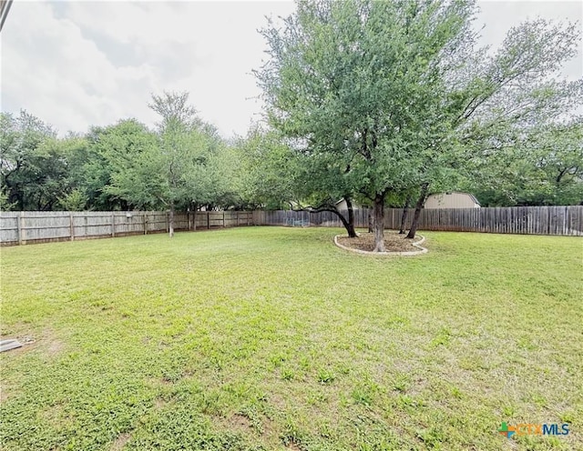 3004 Amber Forest Trl, Belton, TX 76513 - photo 33