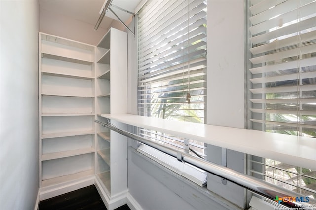 spacious closet with hardwood / wood-style flooring