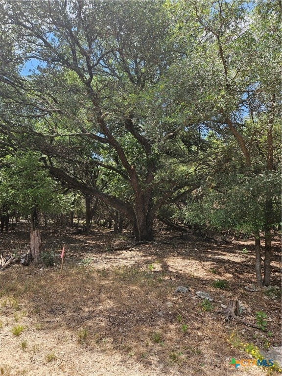 TBD Red Dog Ct, Morgans Point Resort TX, 76513 land for sale