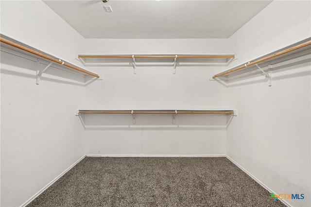 spacious closet featuring carpet