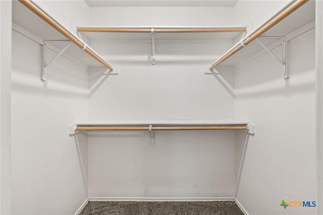 walk in closet with carpet floors