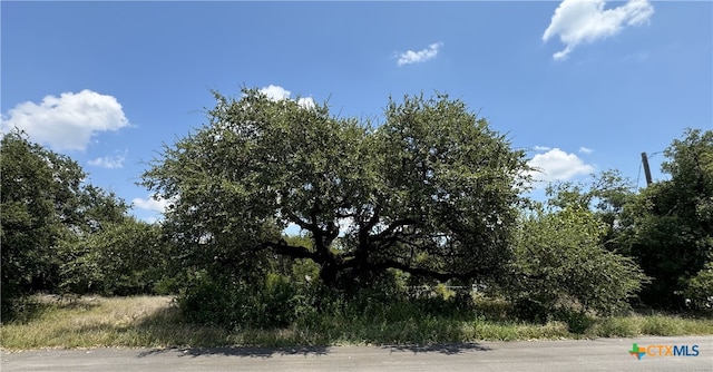 1203 S Beal St, Belton TX, 76513 land for sale