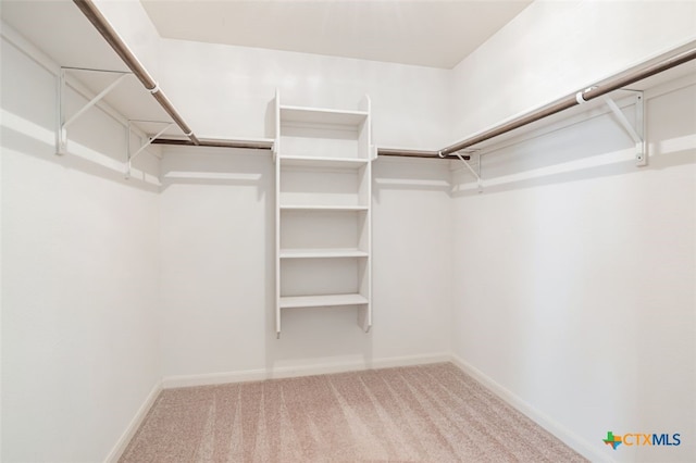 506 Old Peak Rd, Georgetown, TX 78626 - spacious closet with carpet flooring