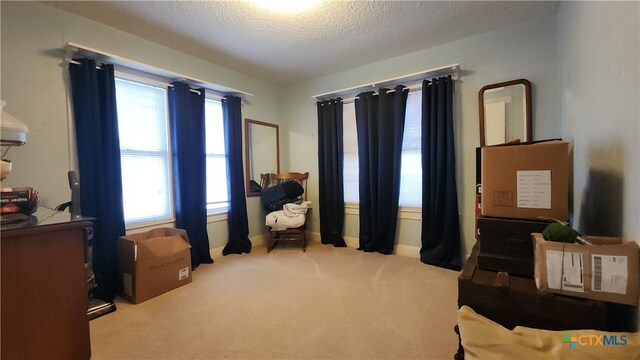 living area with a wealth of natural light, light colored carpet, and a textured ceiling