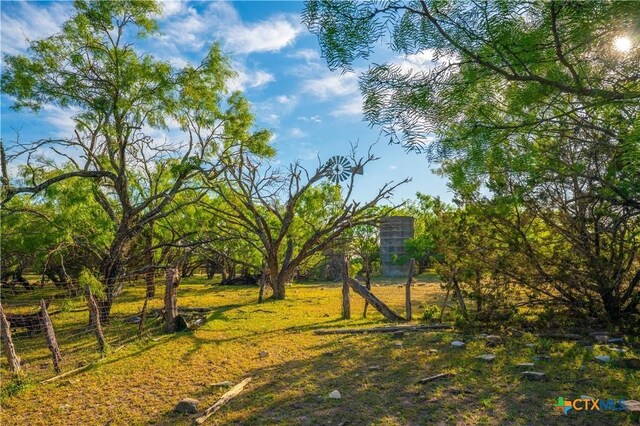 2455 County Road 2699, Lometa, TX 76853 - photo 28