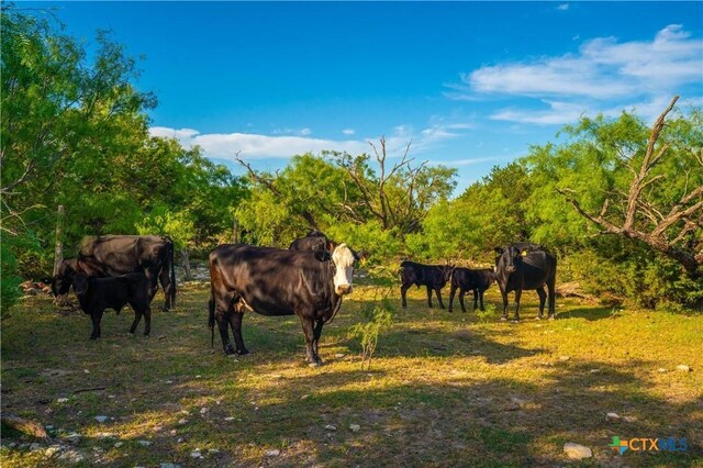 2455 County Road 2699, Lometa, TX 76853 - photo 29