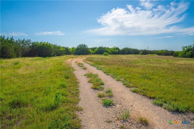 2455 County Road 2699, Lometa, TX 76853 - photo 39
