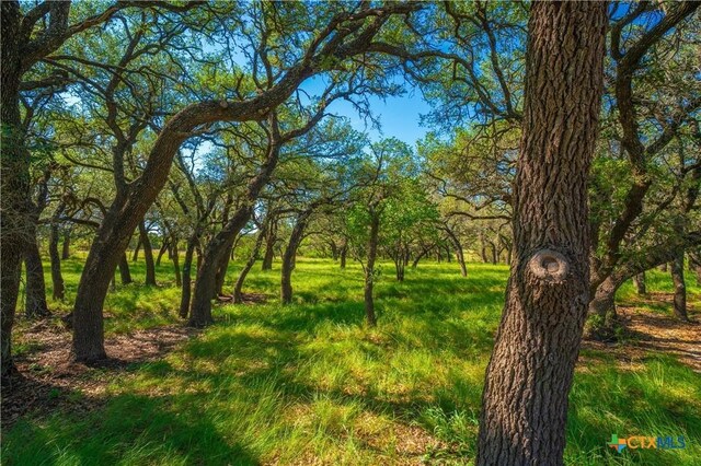 2455 County Road 2699, Lometa, TX 76853 - photo 40