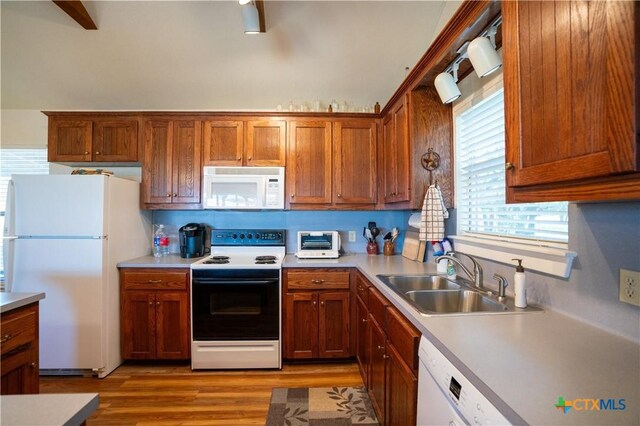 2455 County Road 2699, Lometa, TX 76853 - photo 10