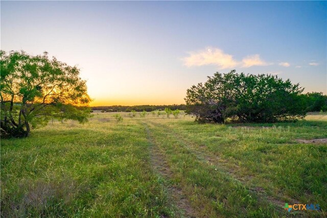 2455 County Road 2699, Lometa, TX 76853 - photo 19
