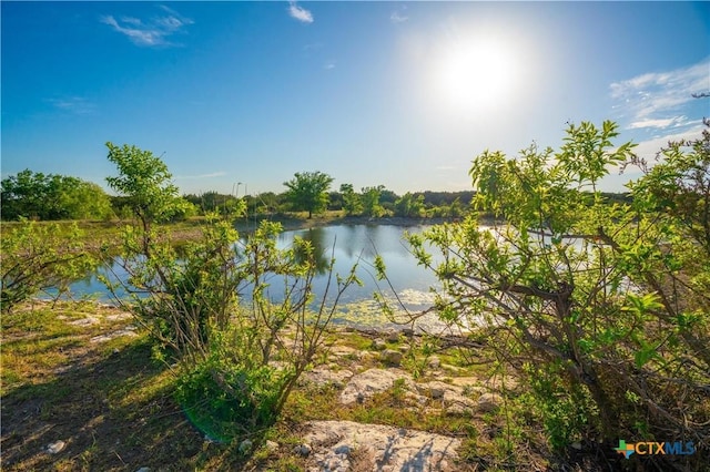 2455 County Road 2699, Lometa, TX 76853 - photo 27