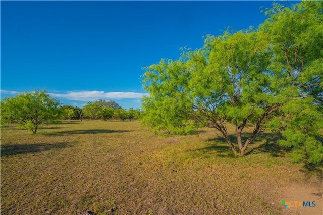 2455 County Road 2699, Lometa, TX 76853 - photo 35